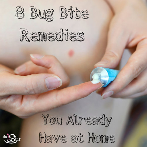 bug bites