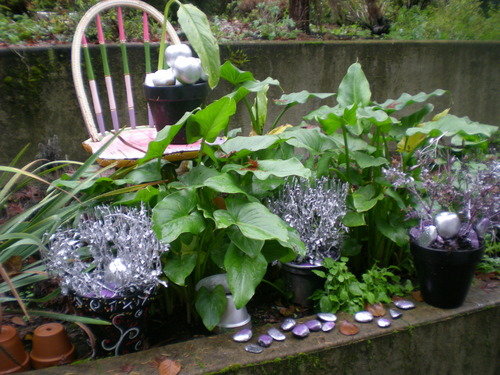 All plants and apples in garden