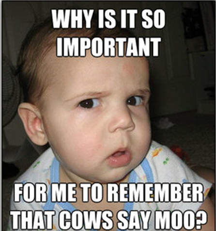 moo meme