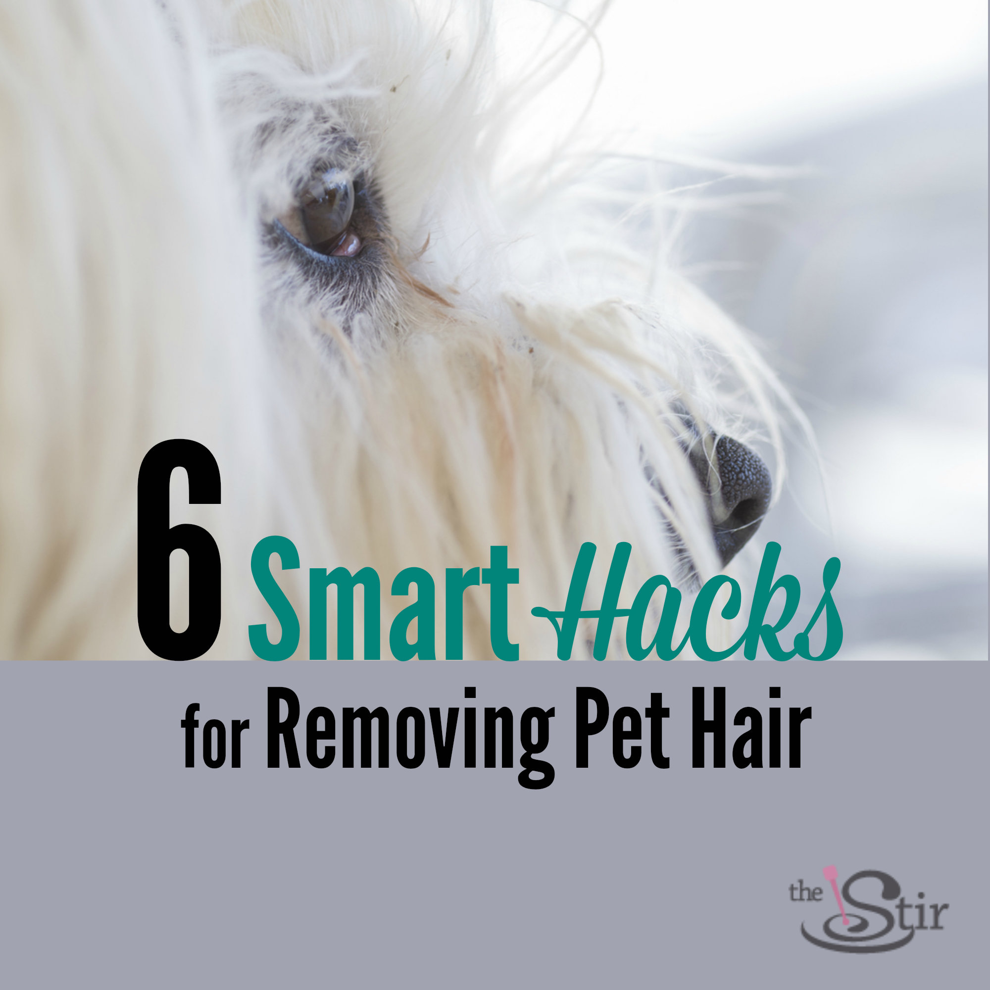 pet hair removal hacks