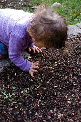 child's garden
