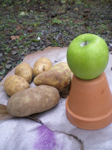 spary painting fruit
