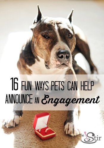 pets help announce engagement