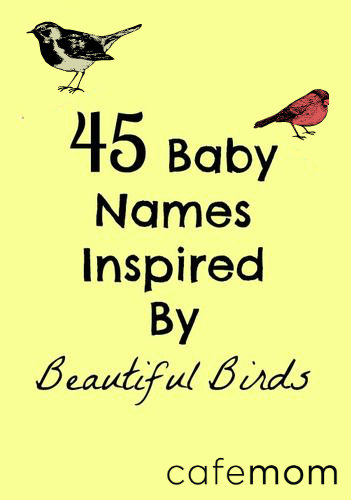 bird inspired baby names