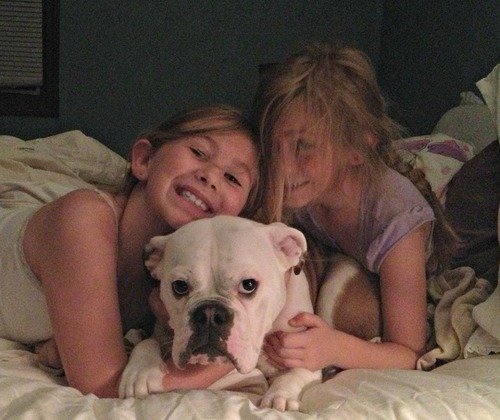 kids & bulldog