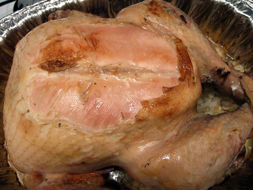 thanksgiving turkey