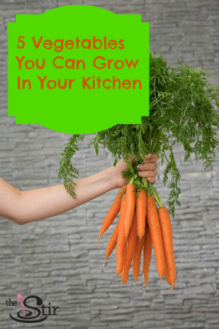 carrots
