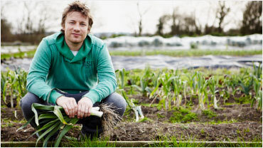 jamie oliver