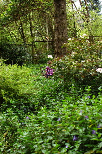 garden on Vashon island