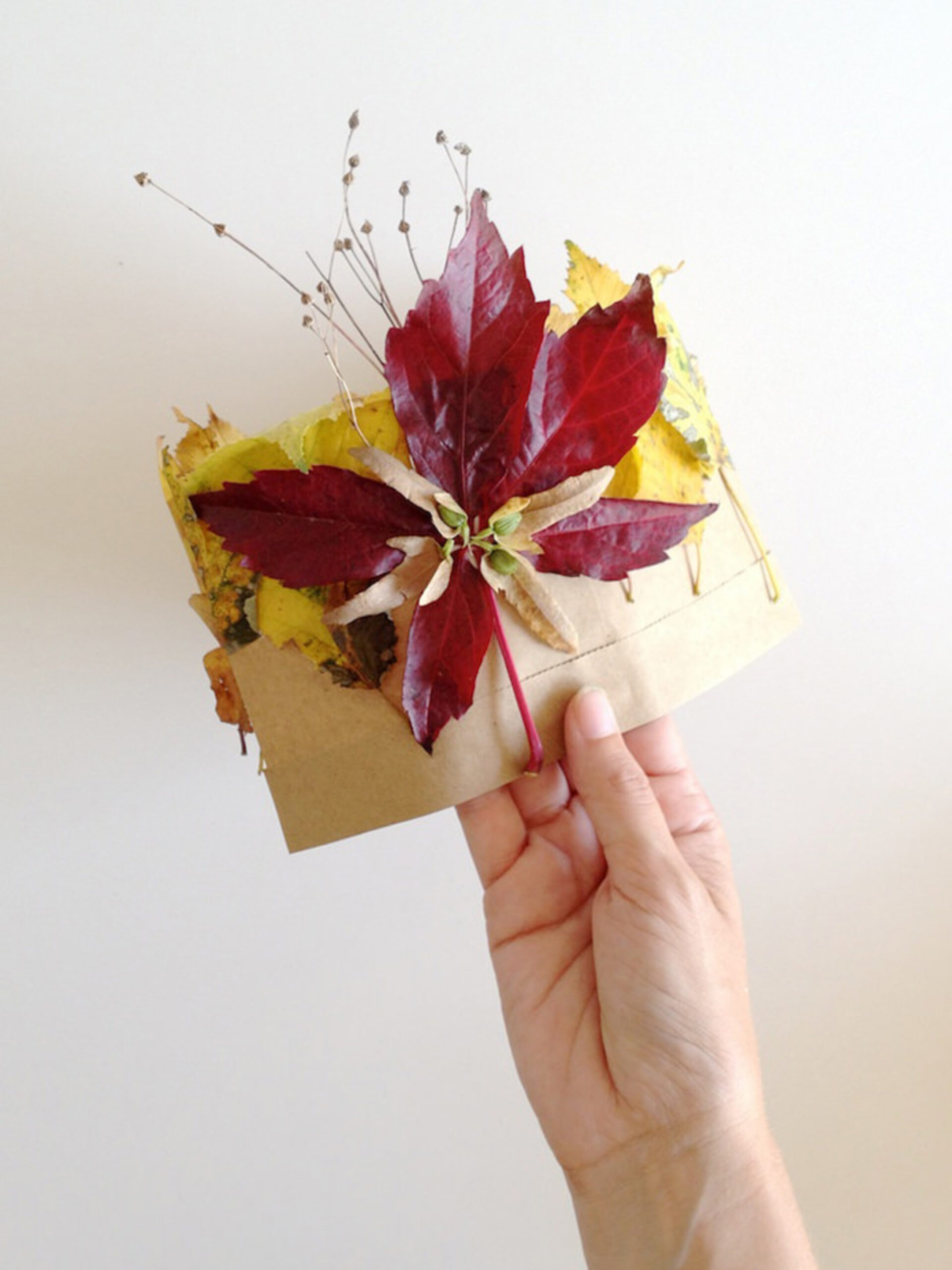 1.0_autumn-crown-1-1.jpg