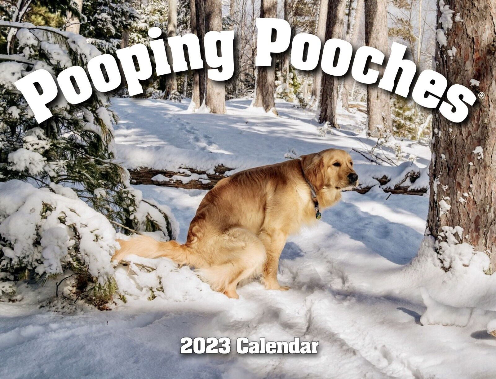 2023_Pooping_Pooches_Dog_Calendar.jpeg