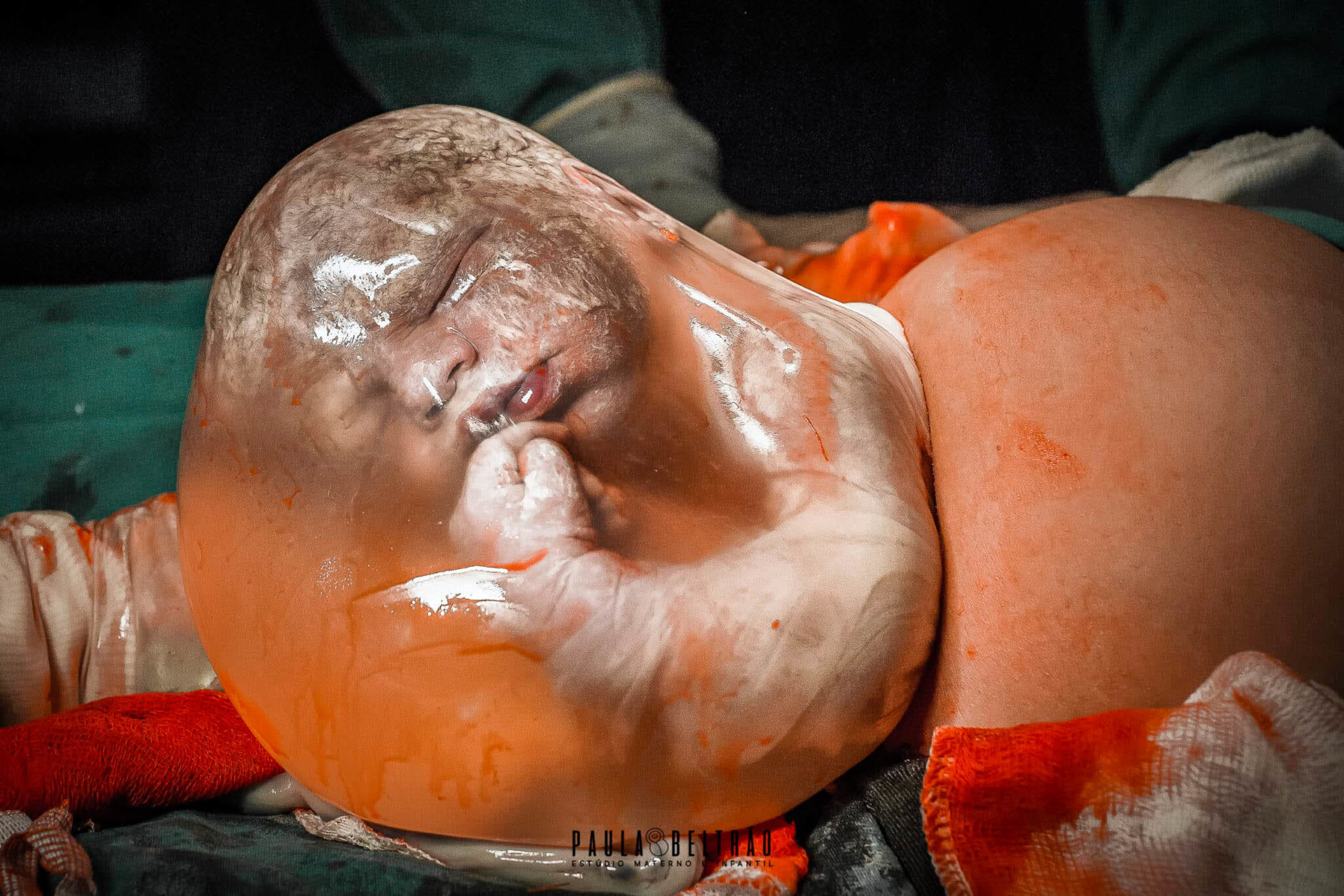 53564-watermark-birth-details.jpg