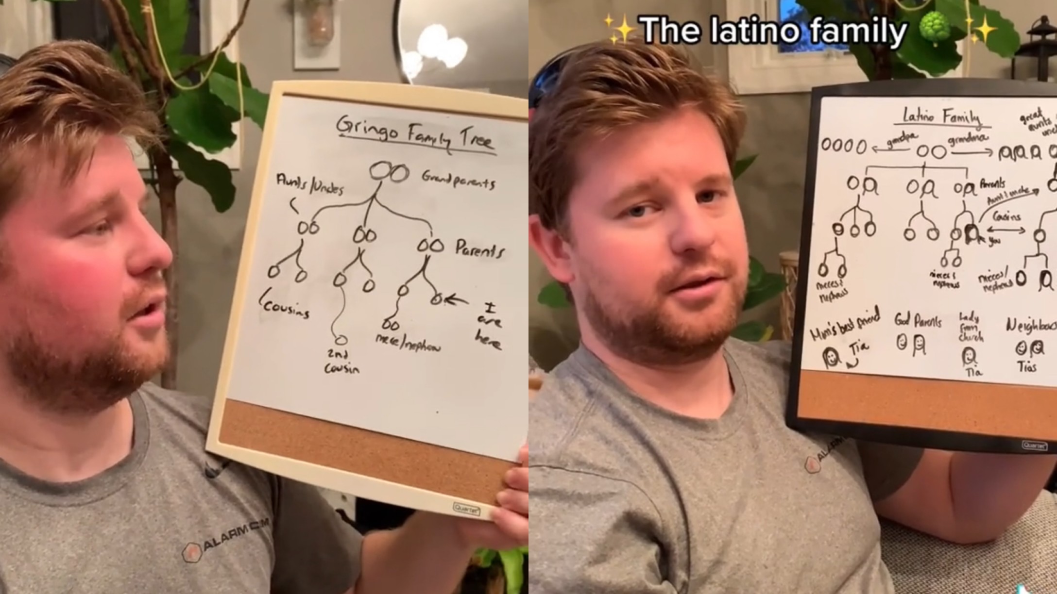 Screenshots from TikTok about family trees