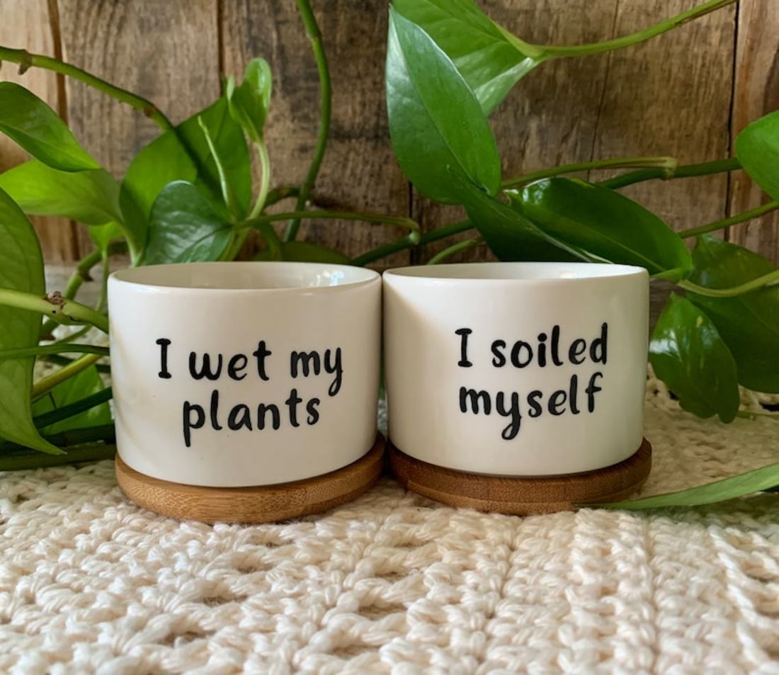 Accidents_Happen-_Plant_Pots.jpg