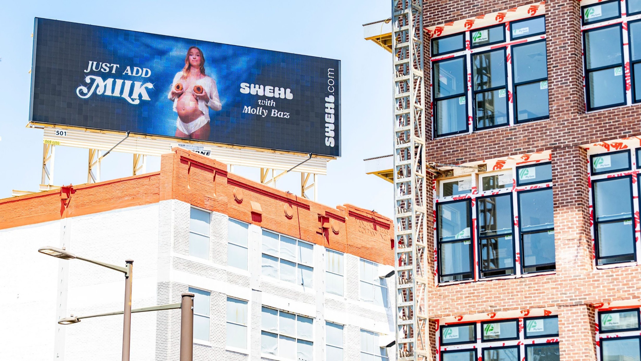 swehl breastfeeding billboard