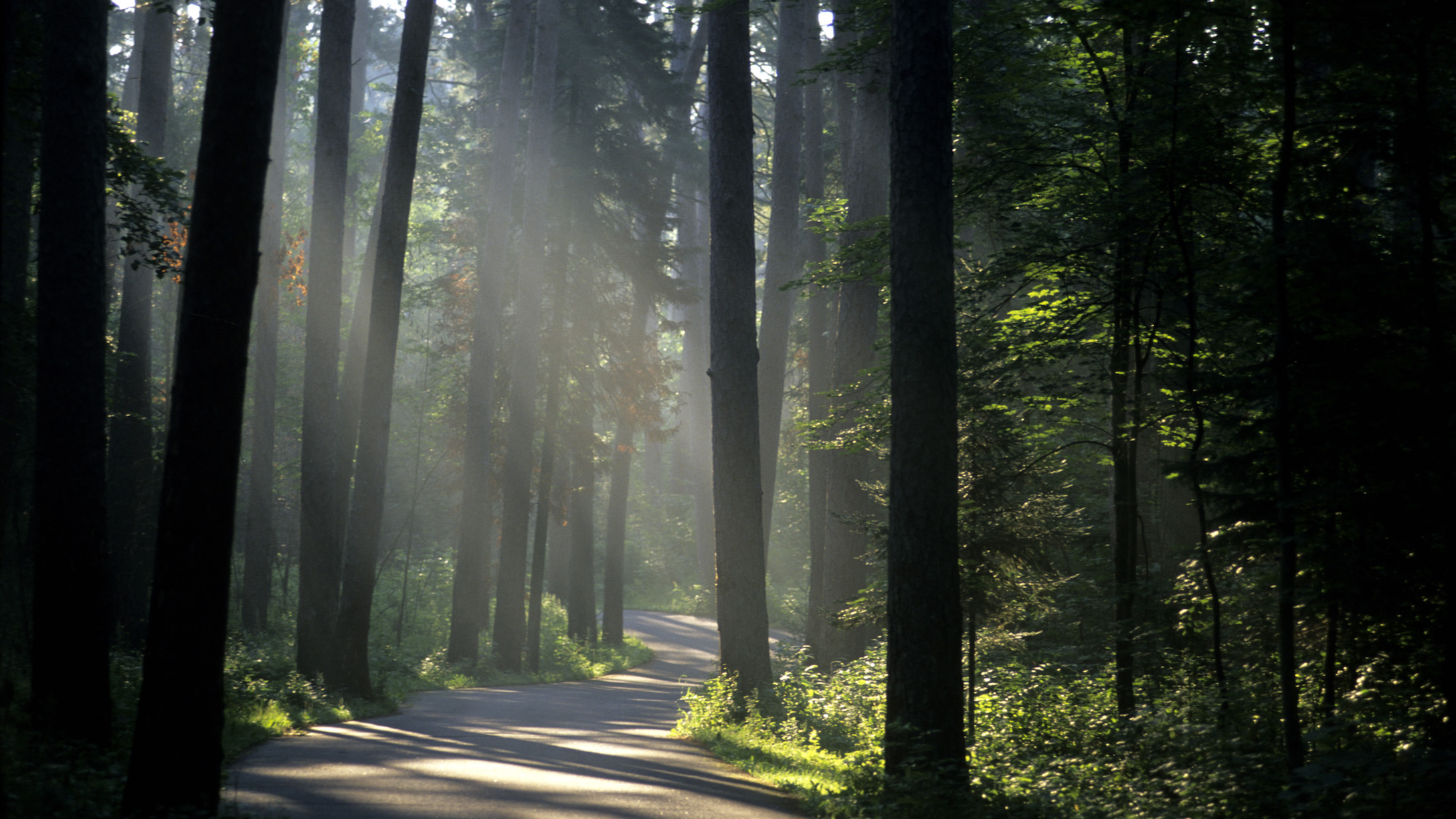 Cafe-Mom-Itasca-State-Park-lede