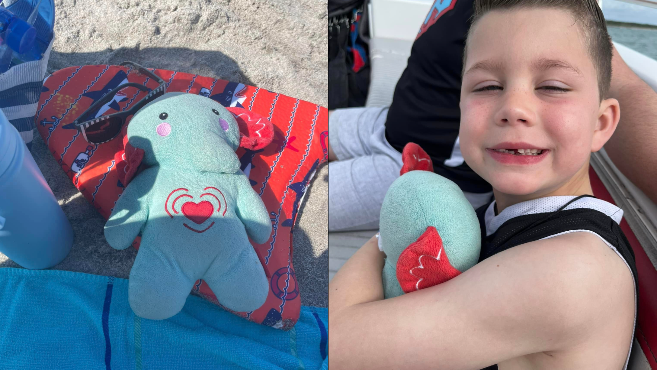 Missing Toy