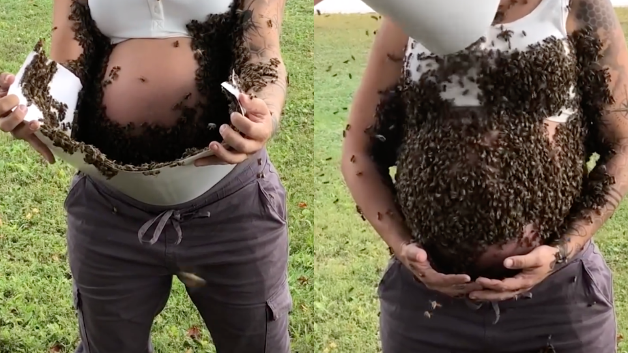Pregnant mom covered in bees maternity photos