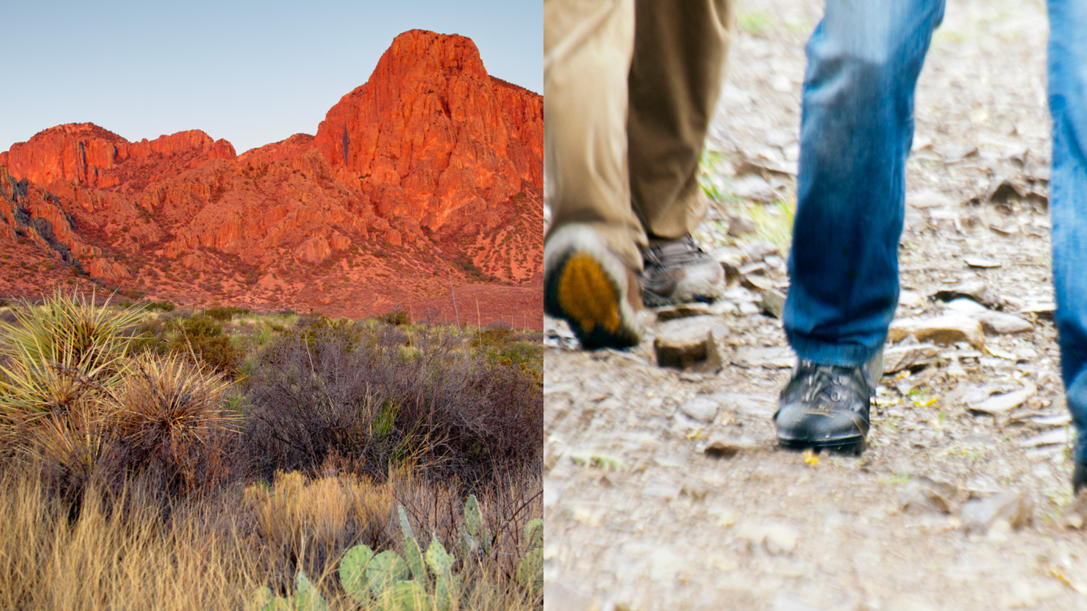 father and son hiking in Big bend