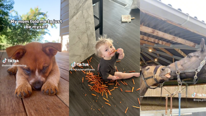 TikTok user's