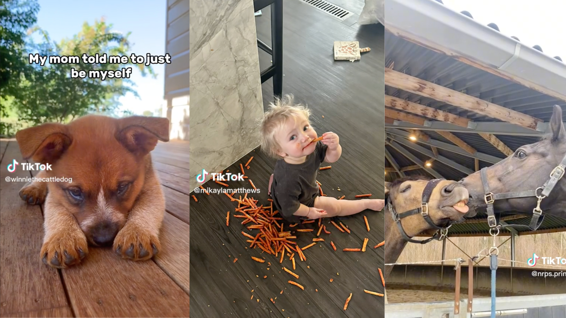 TikTok user's