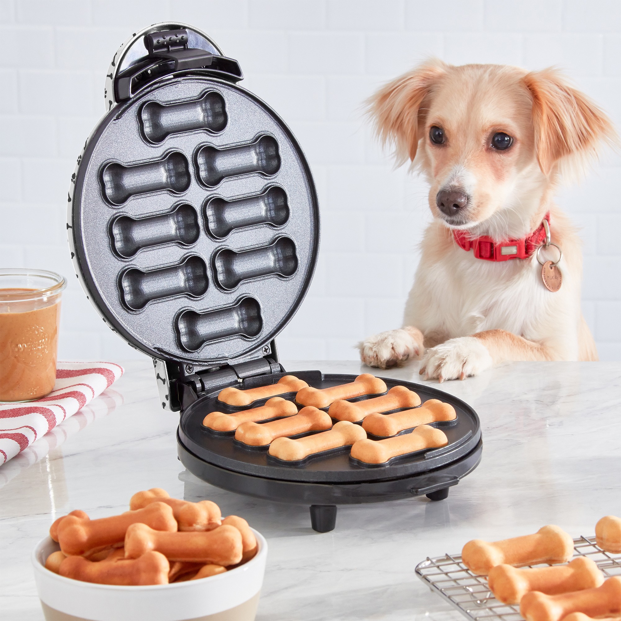 Dog_Treat_Maker.jpg