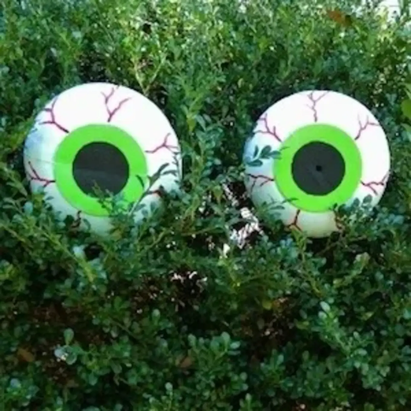EyeCraft1W.jpg