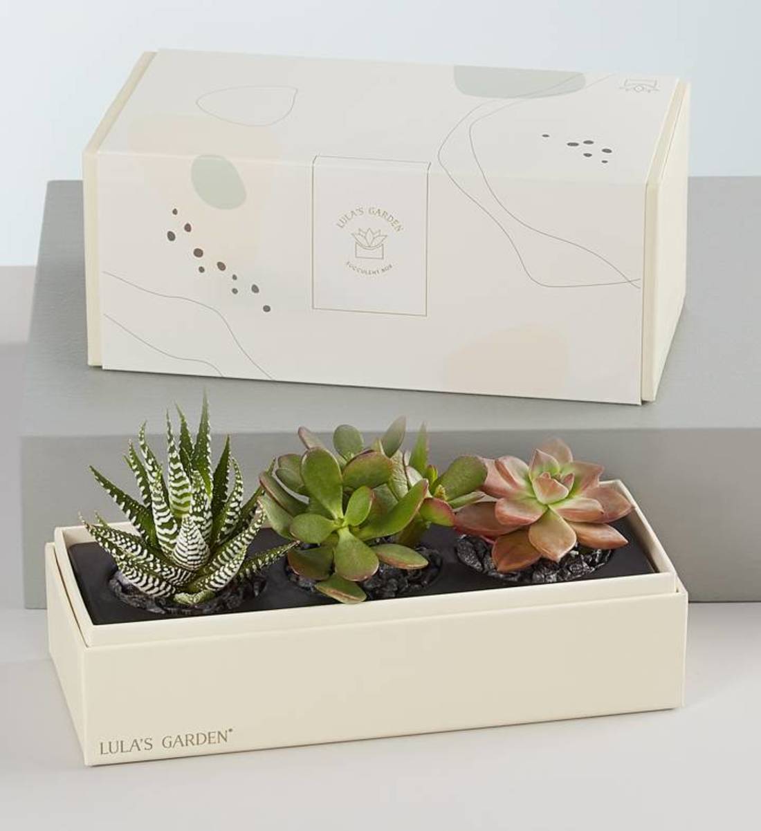 Garden_Succulents.jpeg