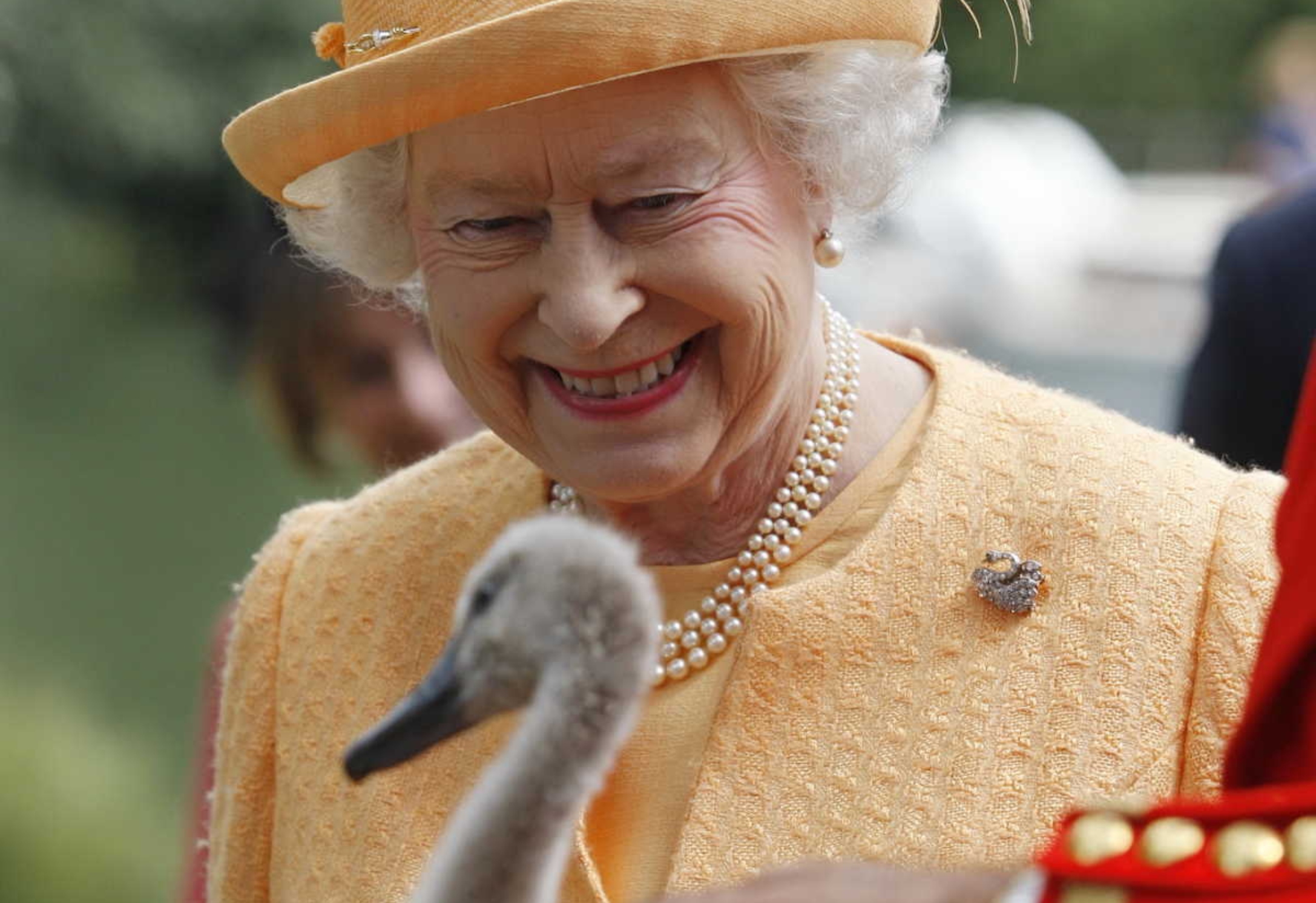 Queen Elizabeth