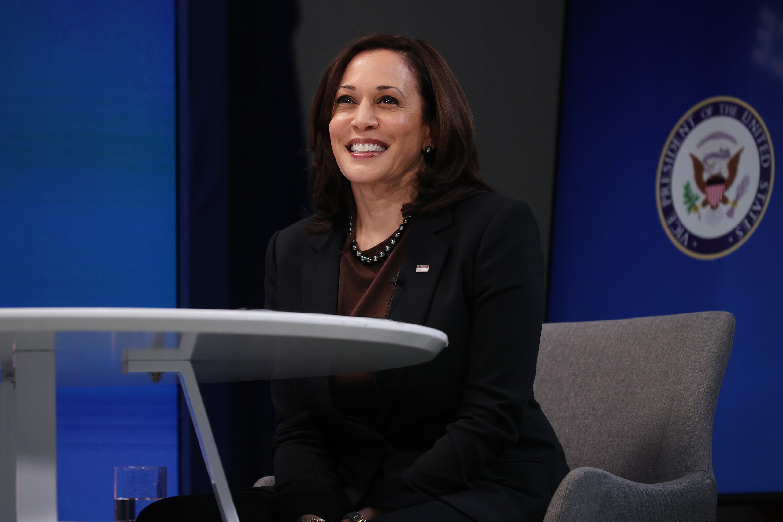 Vice President Harris Delivers Virtual Remarks To House Democratic Caucus
