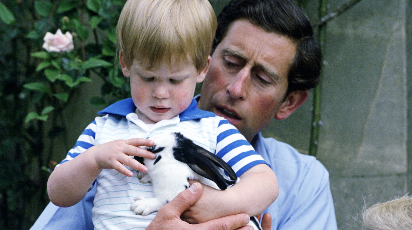 Charles Diana Harry