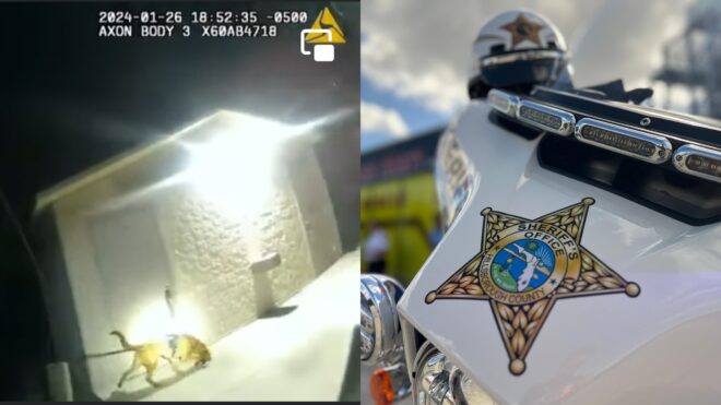 Hillsborough County Sheriff's Office missing girl