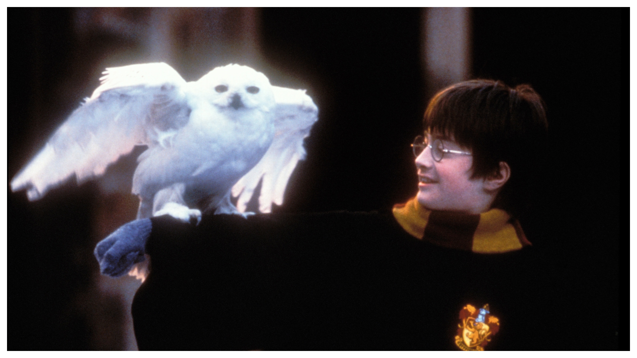 Harry_Potter__1.jpg