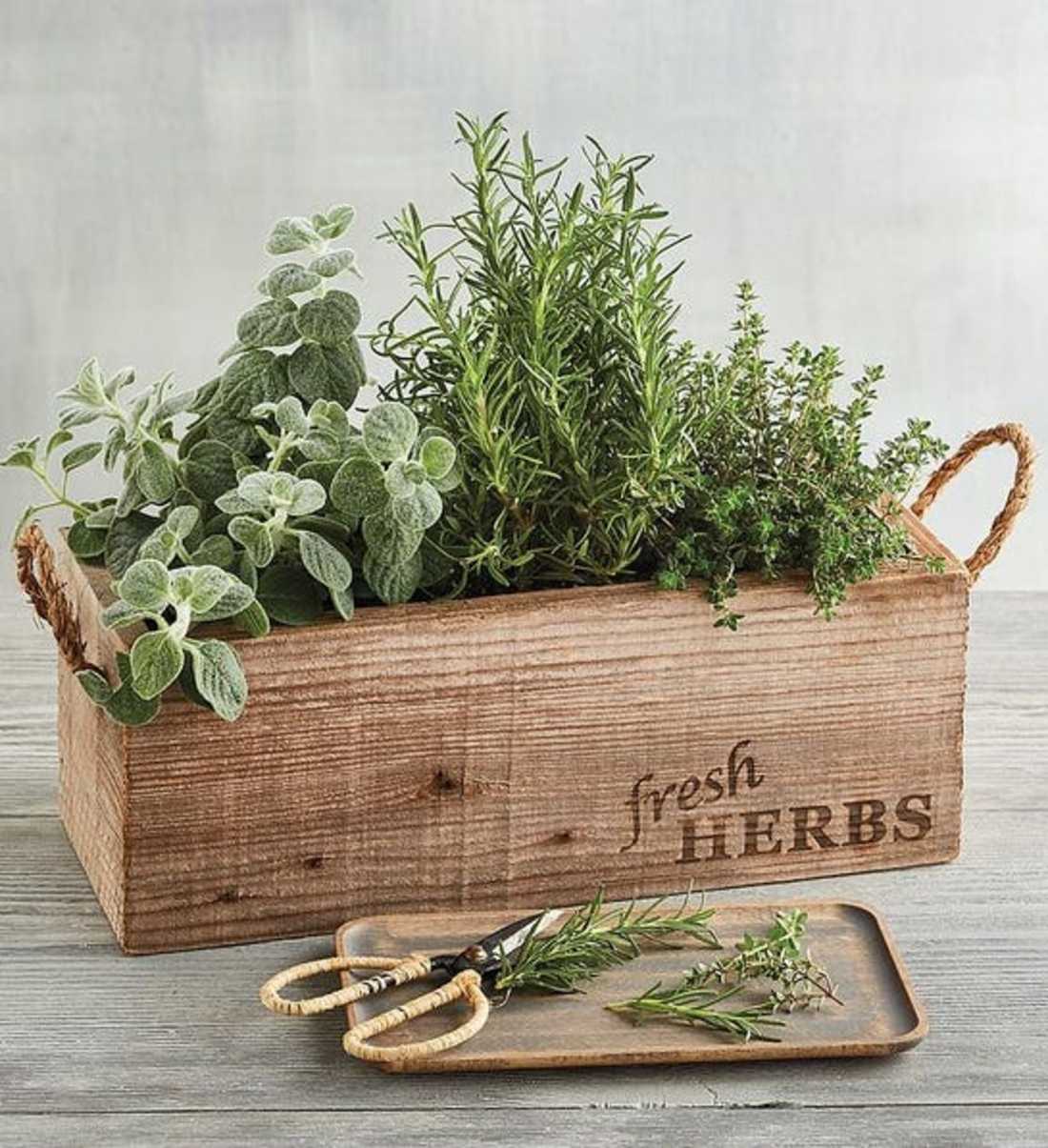 Herb_Garden.jpg