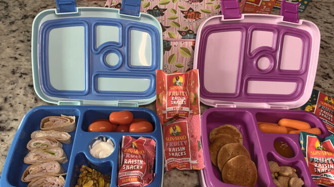 Lunch box bentos for Sun-Maid