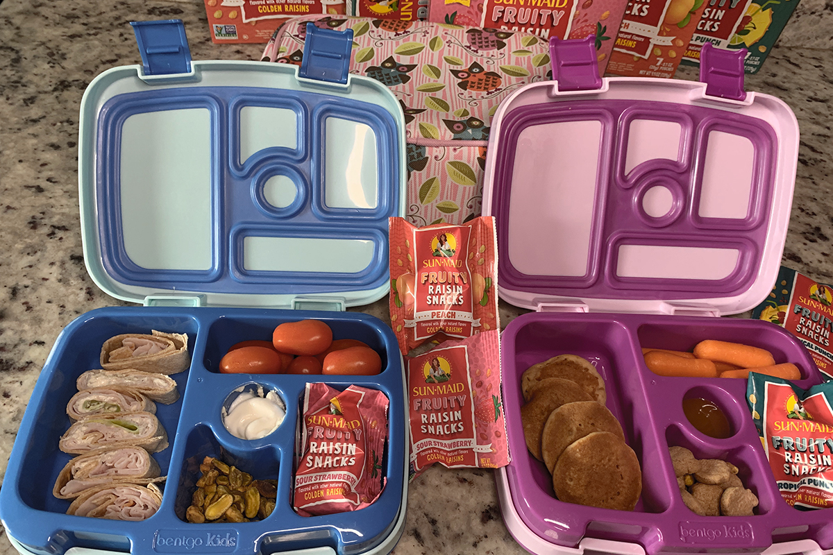 Lunch box bentos for Sun-Maid