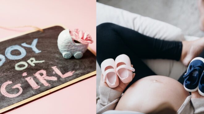 gender reveal