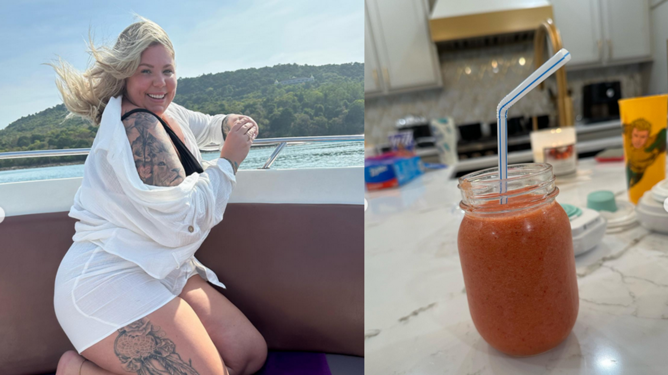 Kailyn Lowry placenta smoothie
