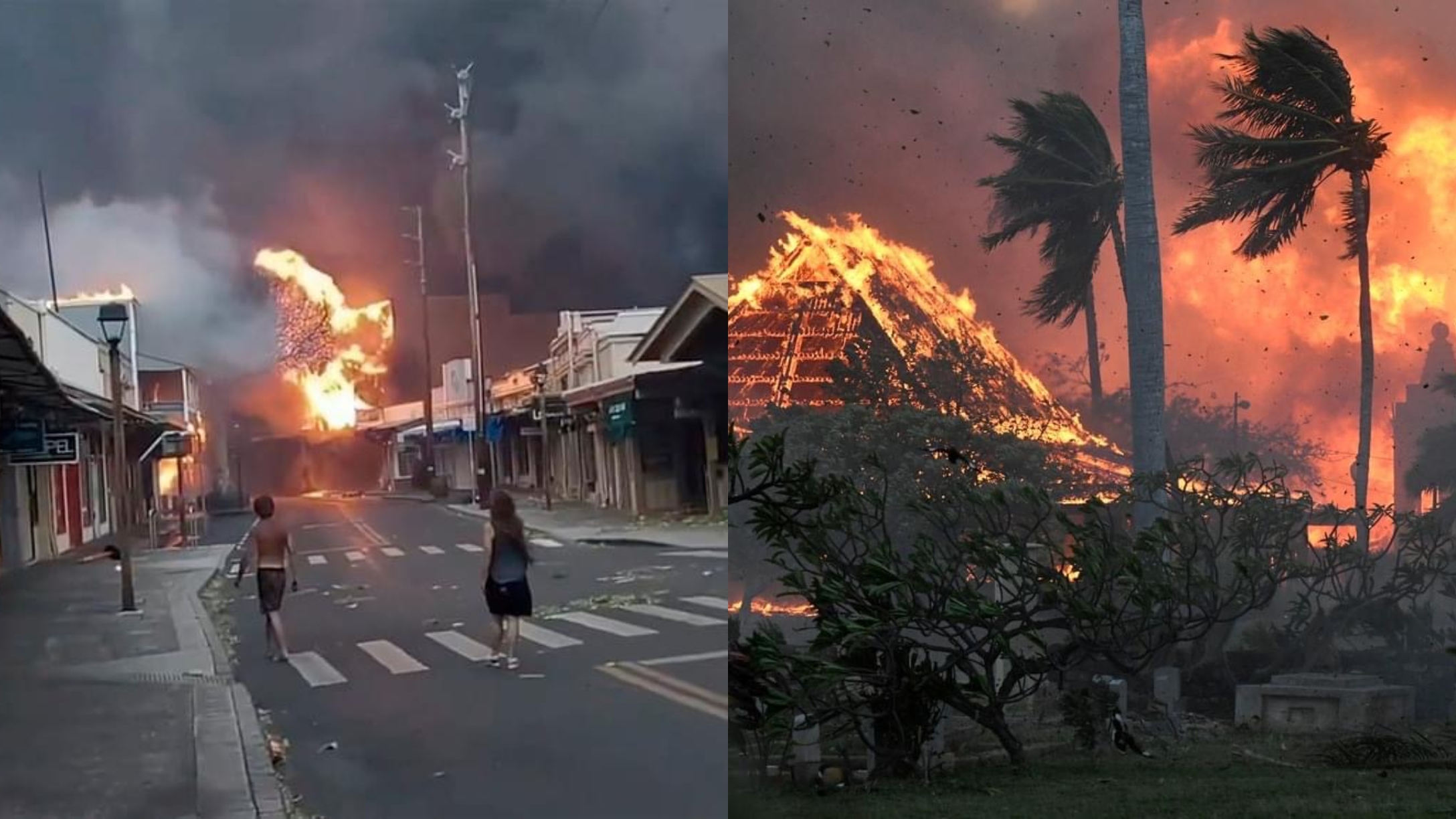 lahaina hawaii wildfires