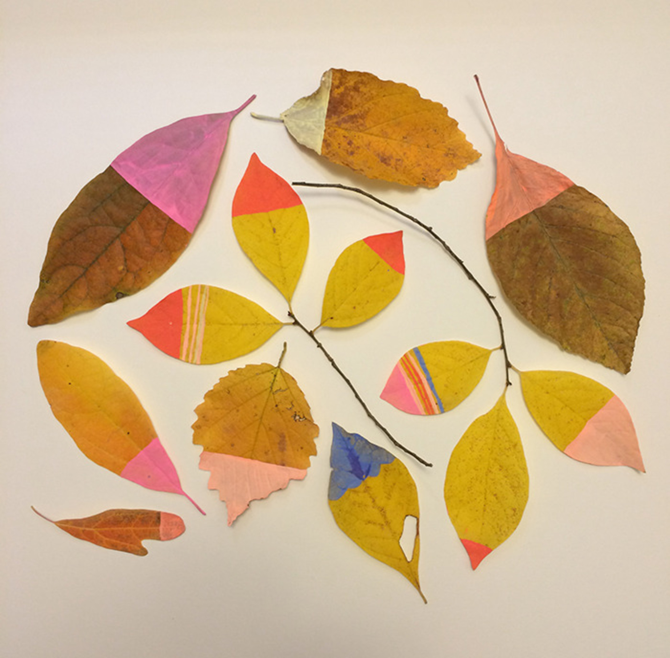 Paint_dipped_leaves-1.jpg