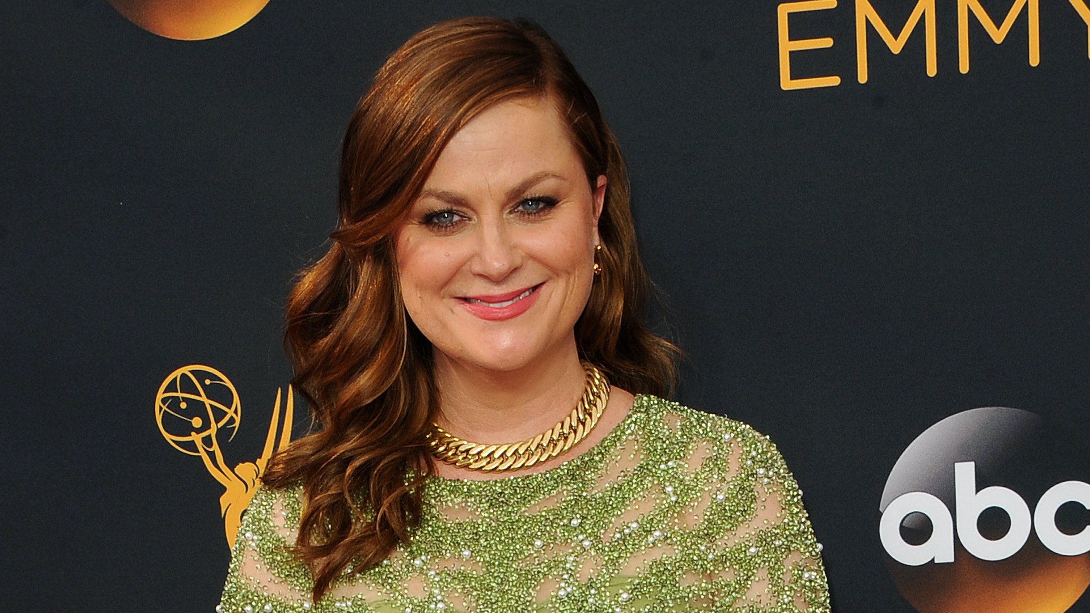 amy poehler 2176 feature image