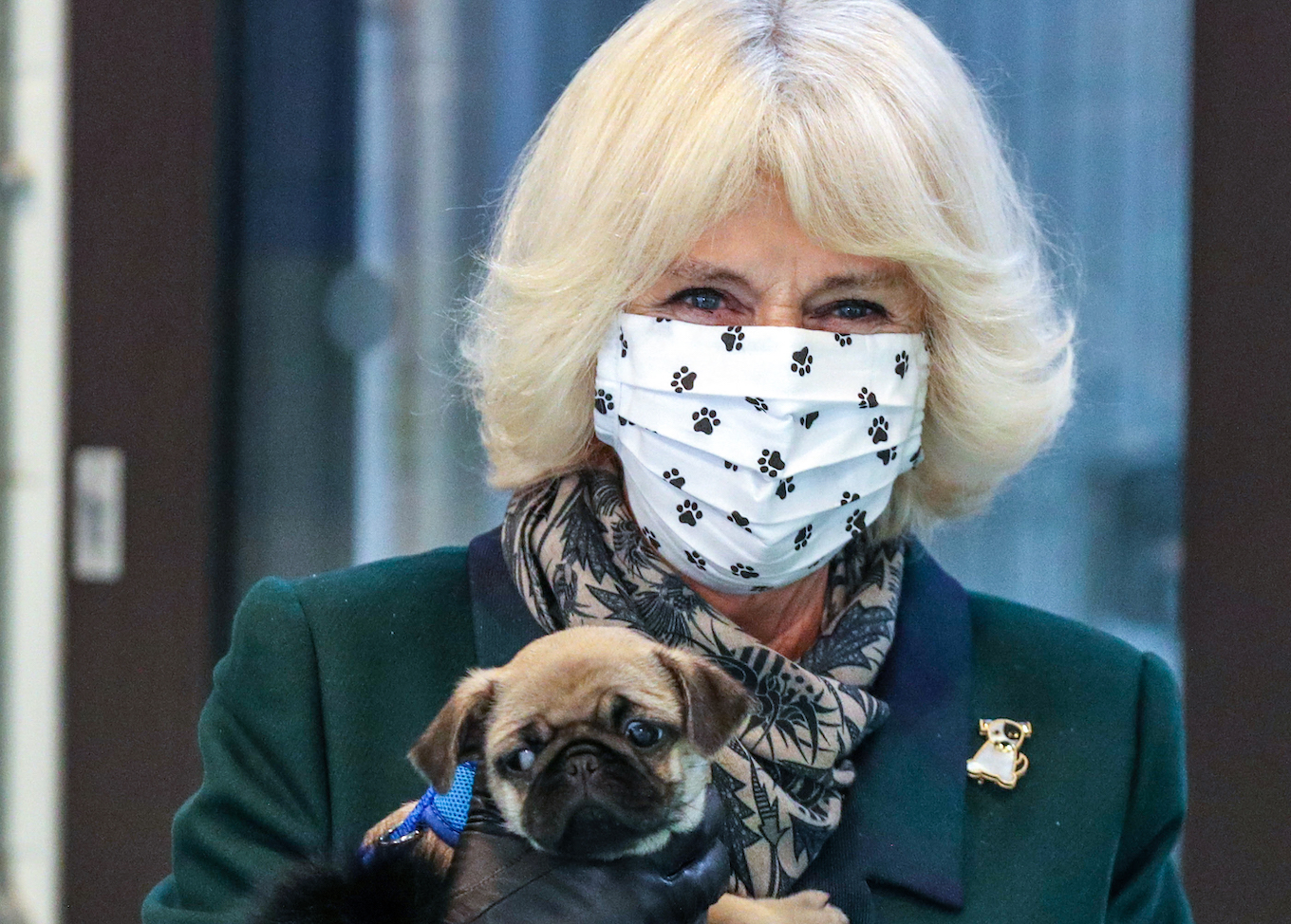 Camilla Duchess Of Cornwall Visits Battersea Dogs And Cats Home