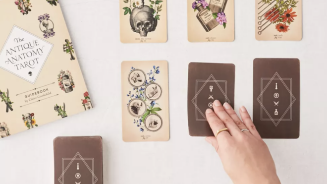 The Antique Anatomy Tarot Kit