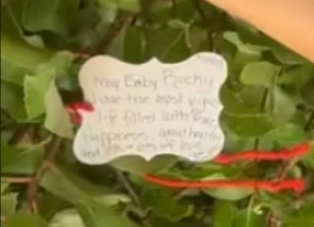Screenshot_2023-09-26_at_12-26-41_https___preview.redd_.it_zoomed-in-on-one-of-the-notes-on-the-wish-tree-at-the-v0-wy78v7tt6-1.png