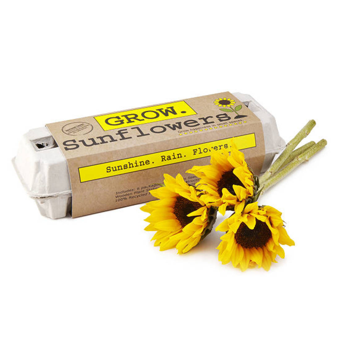 Sunflower_Garden_Grow_Kit.jpg