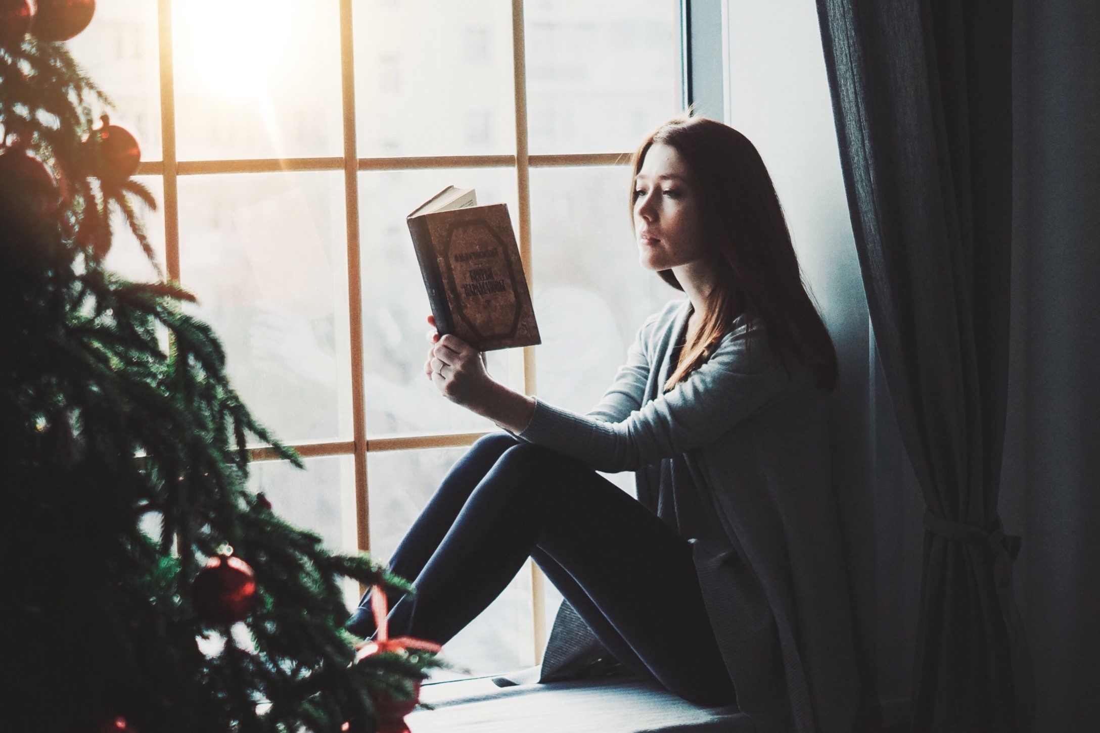 a-girl-with-a-book-christmas-portrait_t20_kn9B3K.jpg