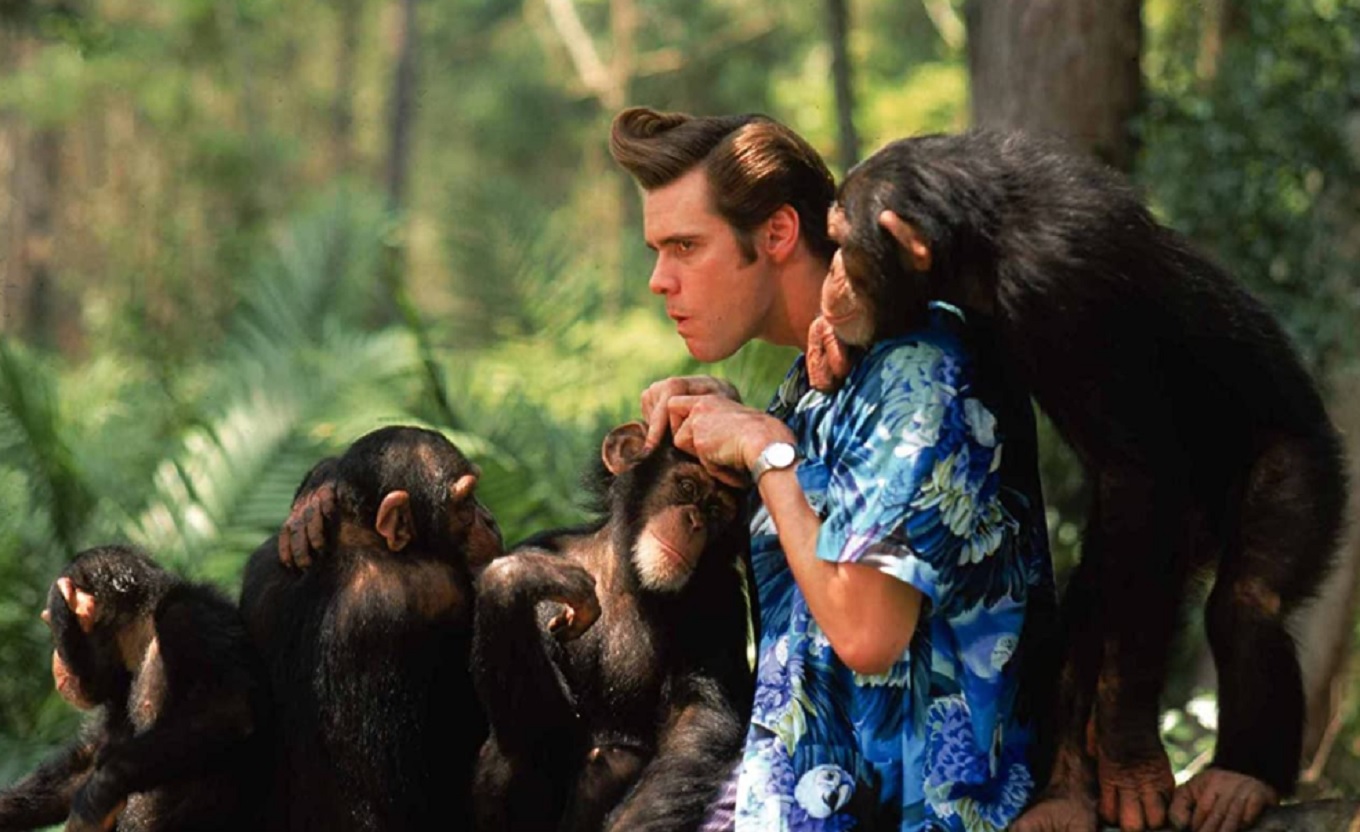 ace-ventura.jpg