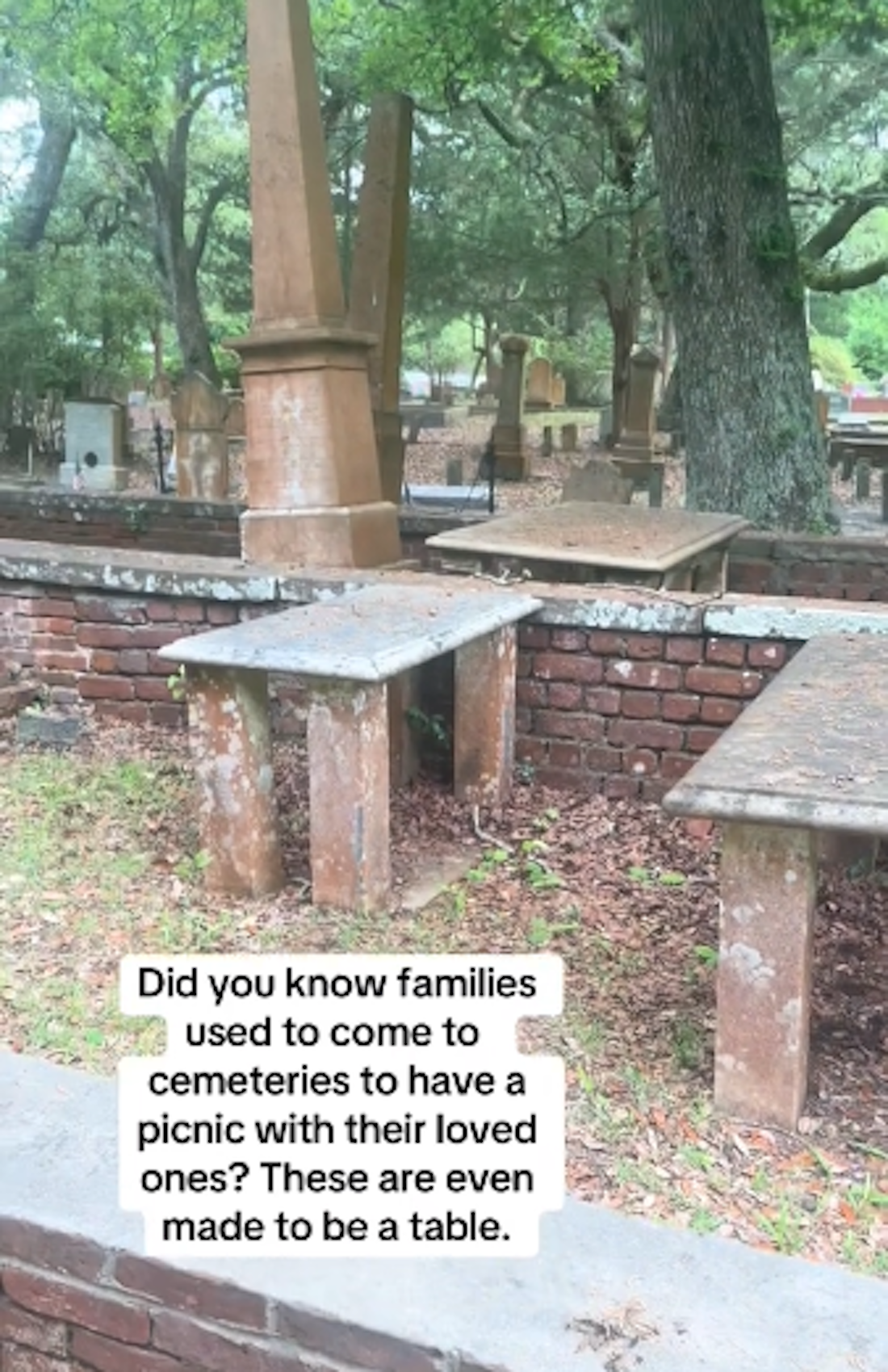 benches-cemetery.png