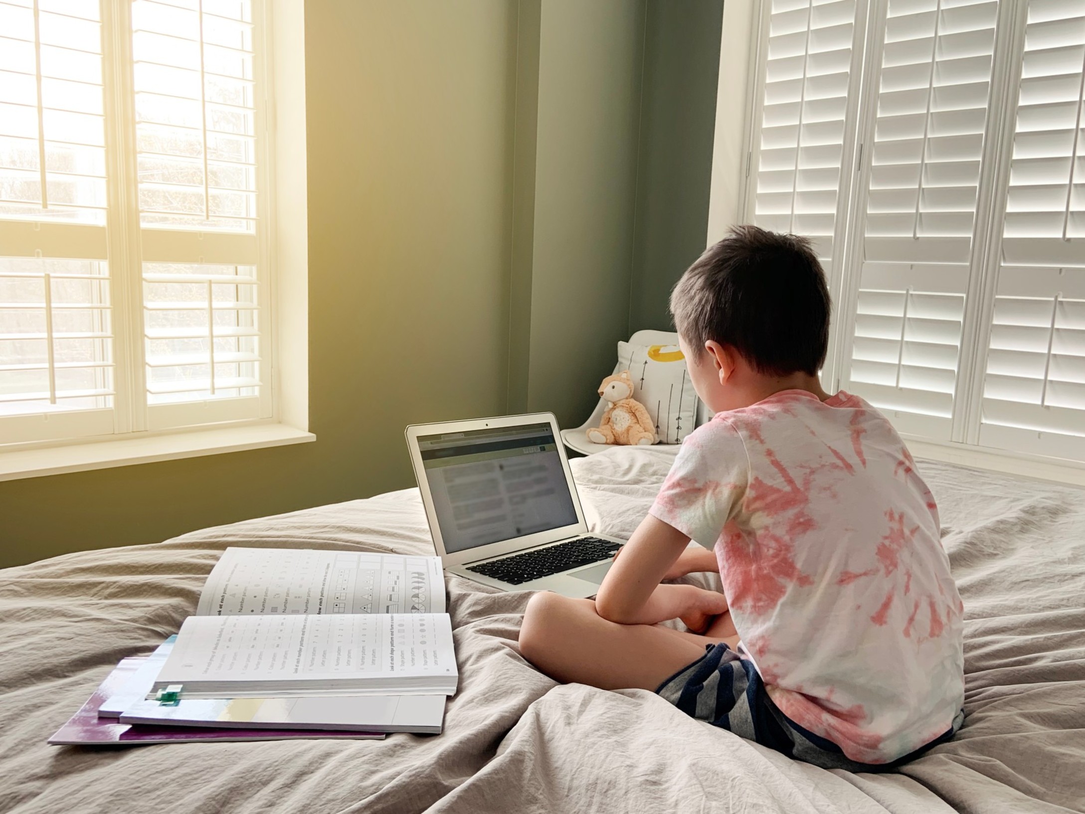 boy-child-education-class-home-learn-online-internet-homeschooling-school-virtual-laptop-quarantine_t20_E04018.jpg