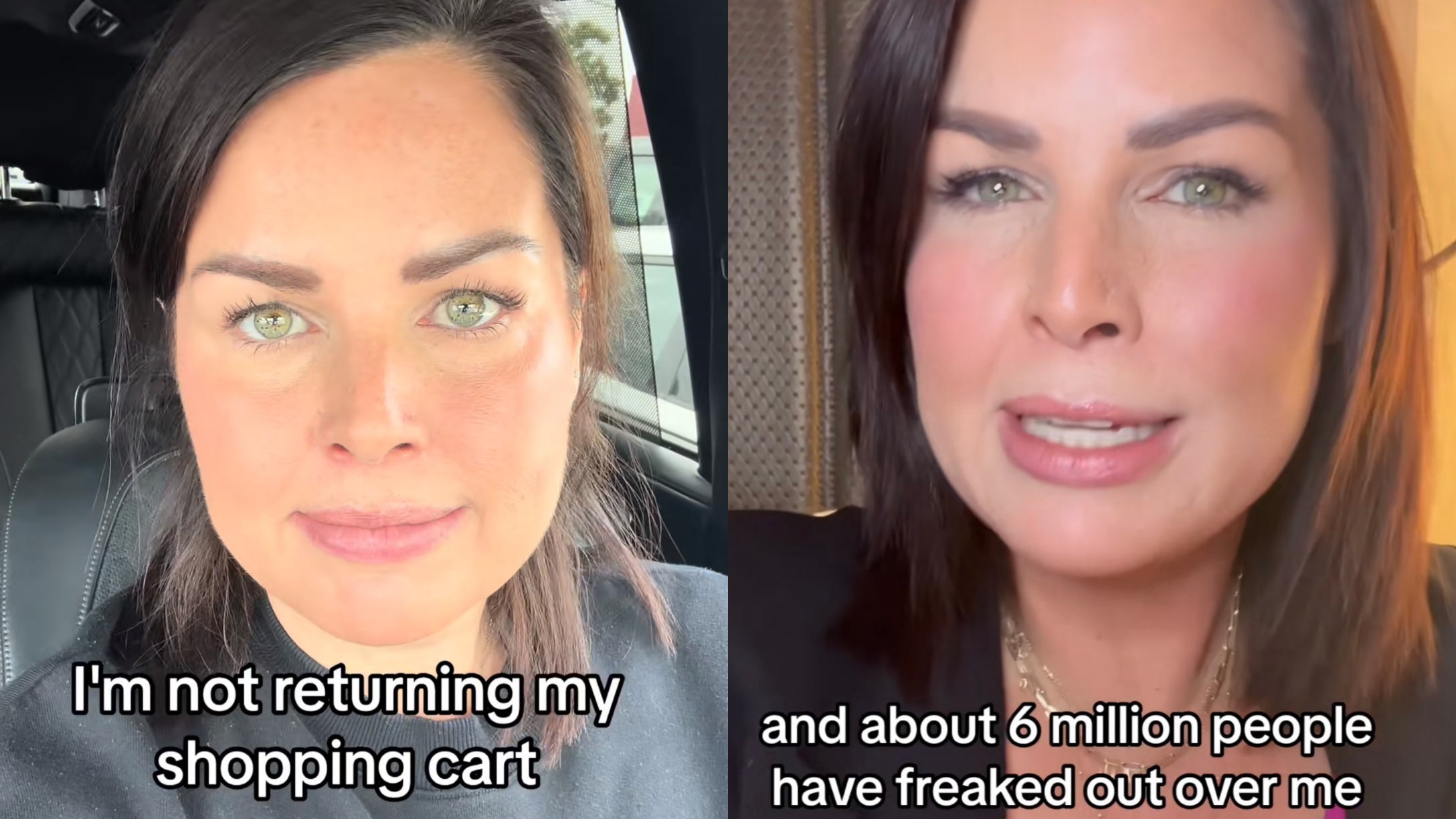 Leslie Dobson shopping cart theory